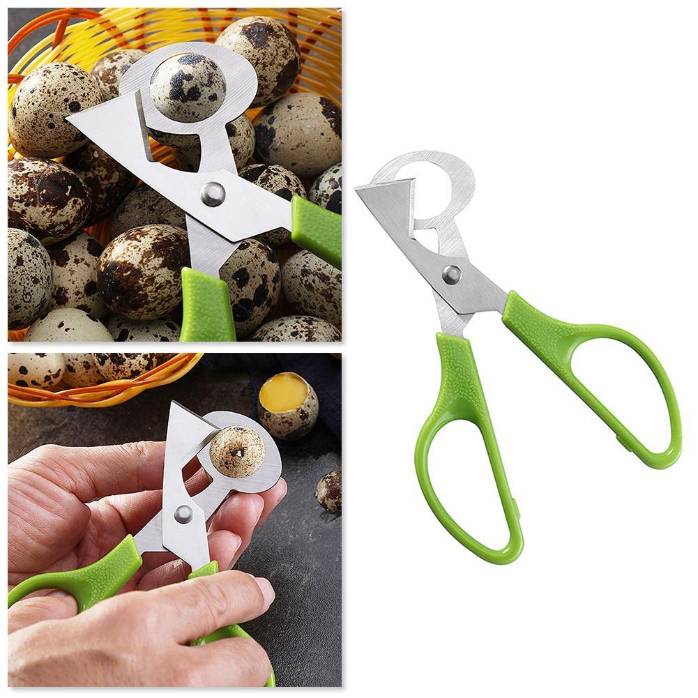 鳩、ウズラ、小型卵の殻割り、ハサミカット、鳥の卵の殻割り器、 - Egg Separator Tool のレビューと価格